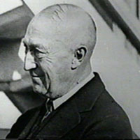 The Great Stork Derby