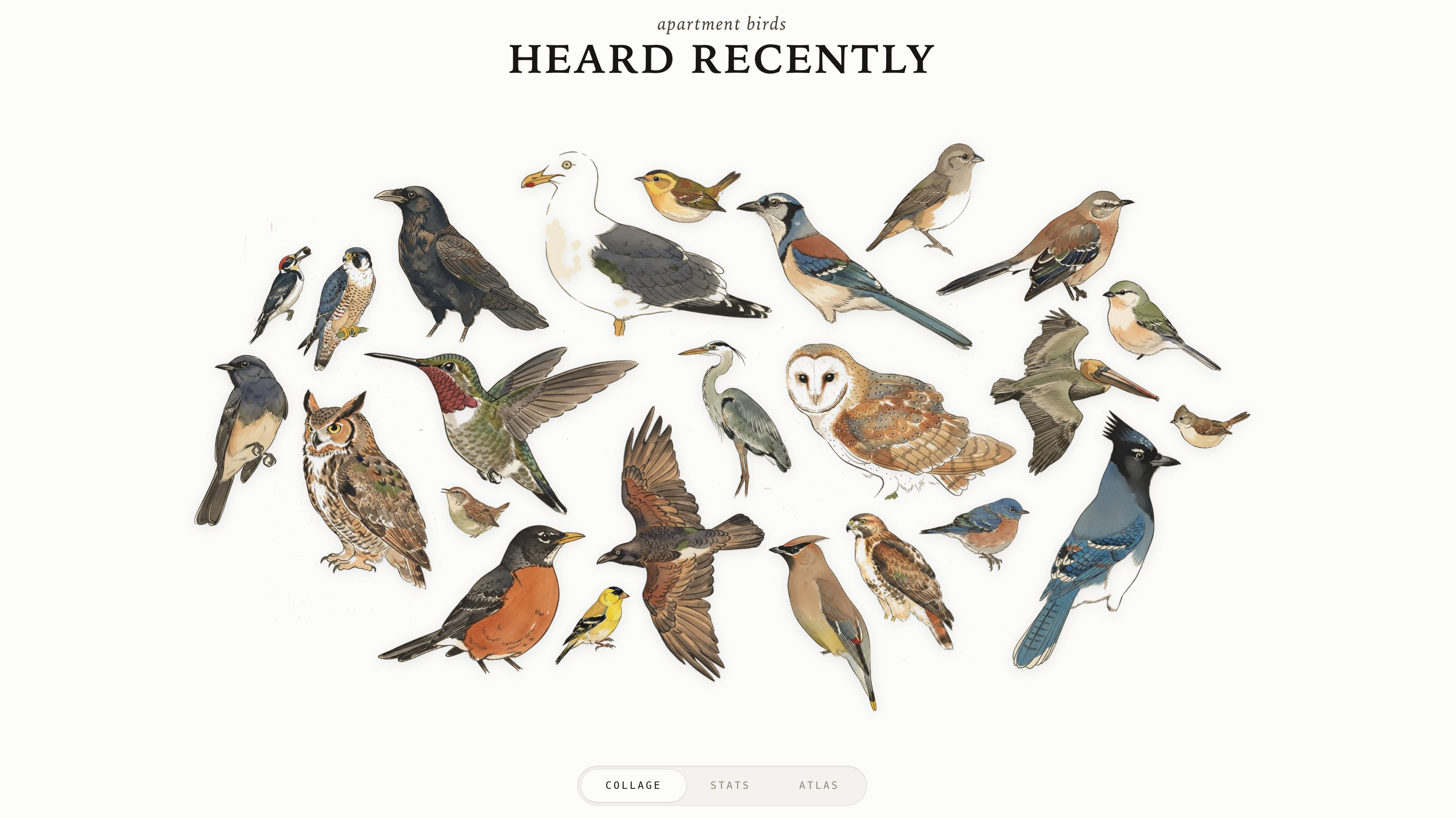 Track bird visitors with a Raspberry Pi and a USB mic
