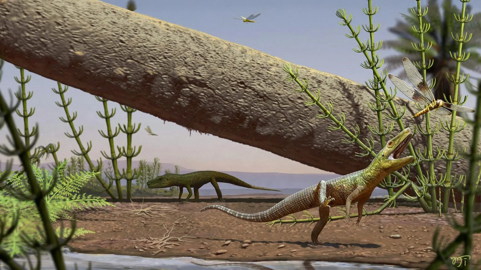 A 240-million-year-old Brazilian reptile fills a gap before dinosaurs and crocodiles