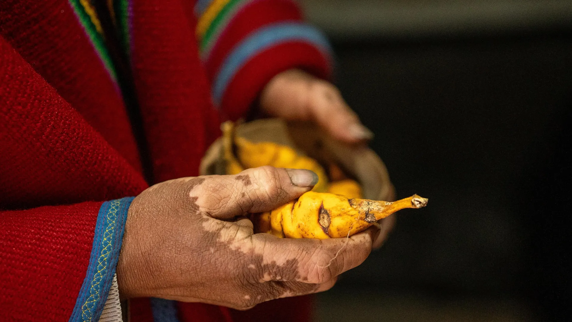 Potato farming may have selected extra starch-digestion gene copies in the Andes