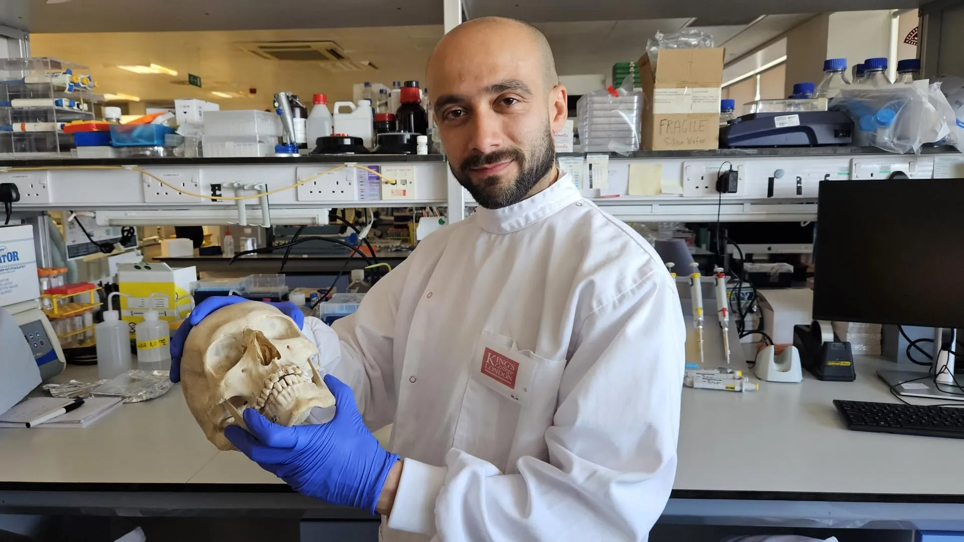 Sheep's wool becomes a scaffold that helps regrow bone