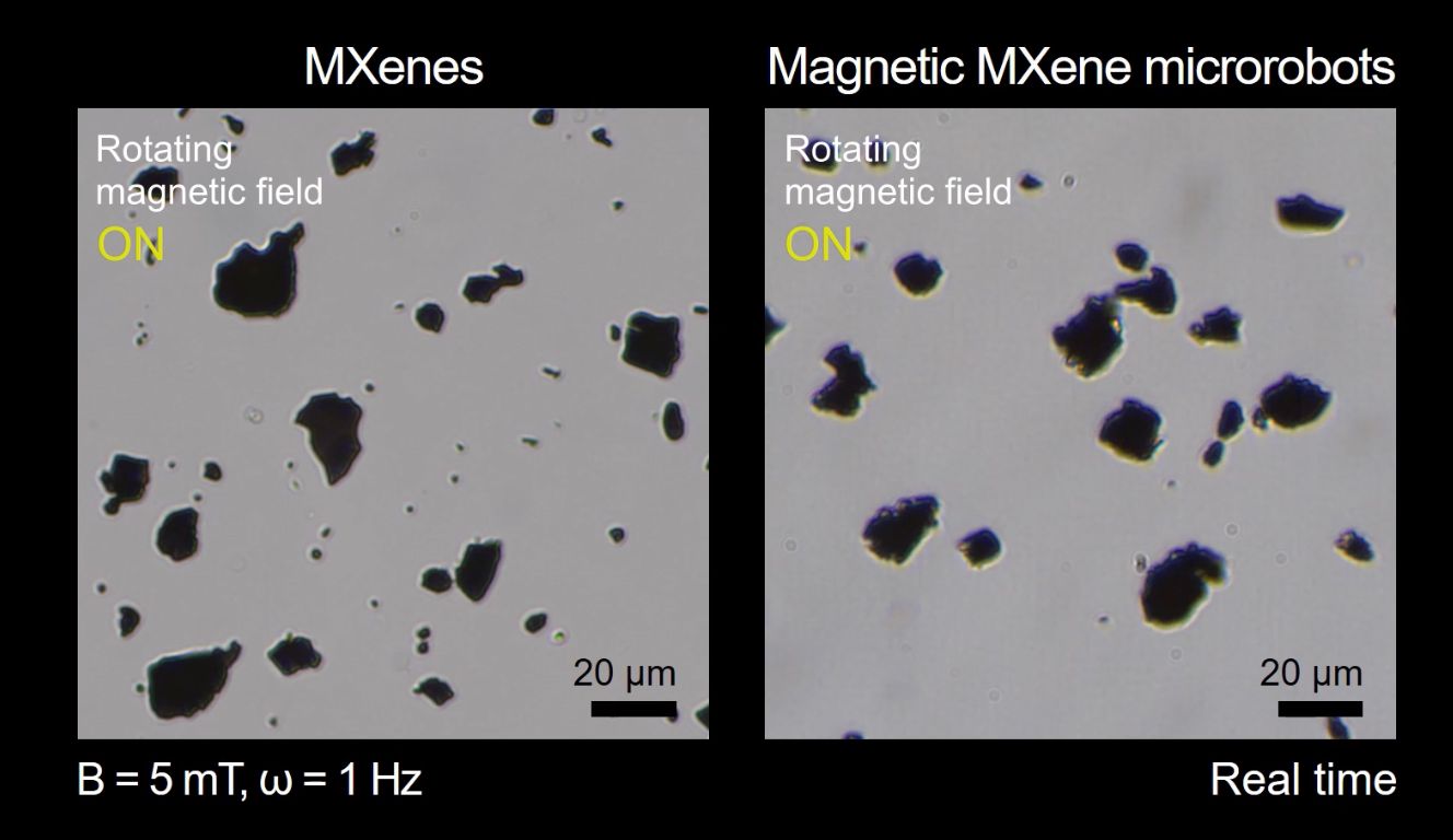Removing microplastics from soil with tumbling magnetic flakes
