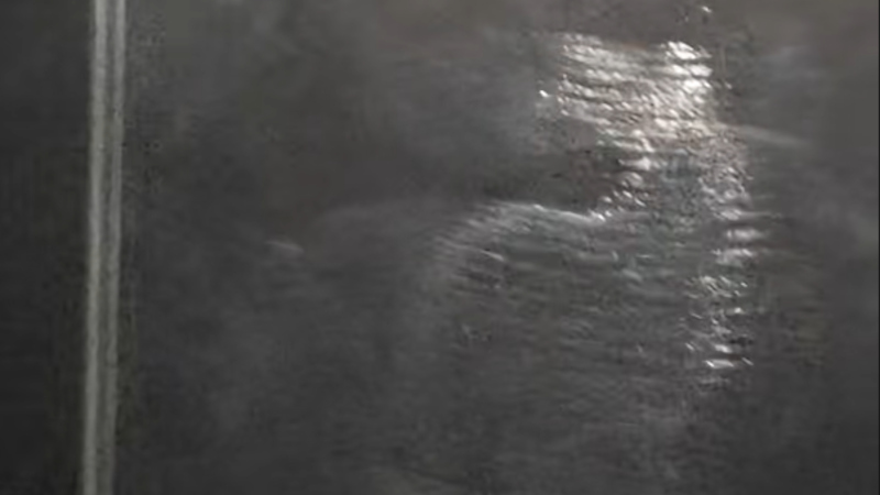 Holograms, from your plotter