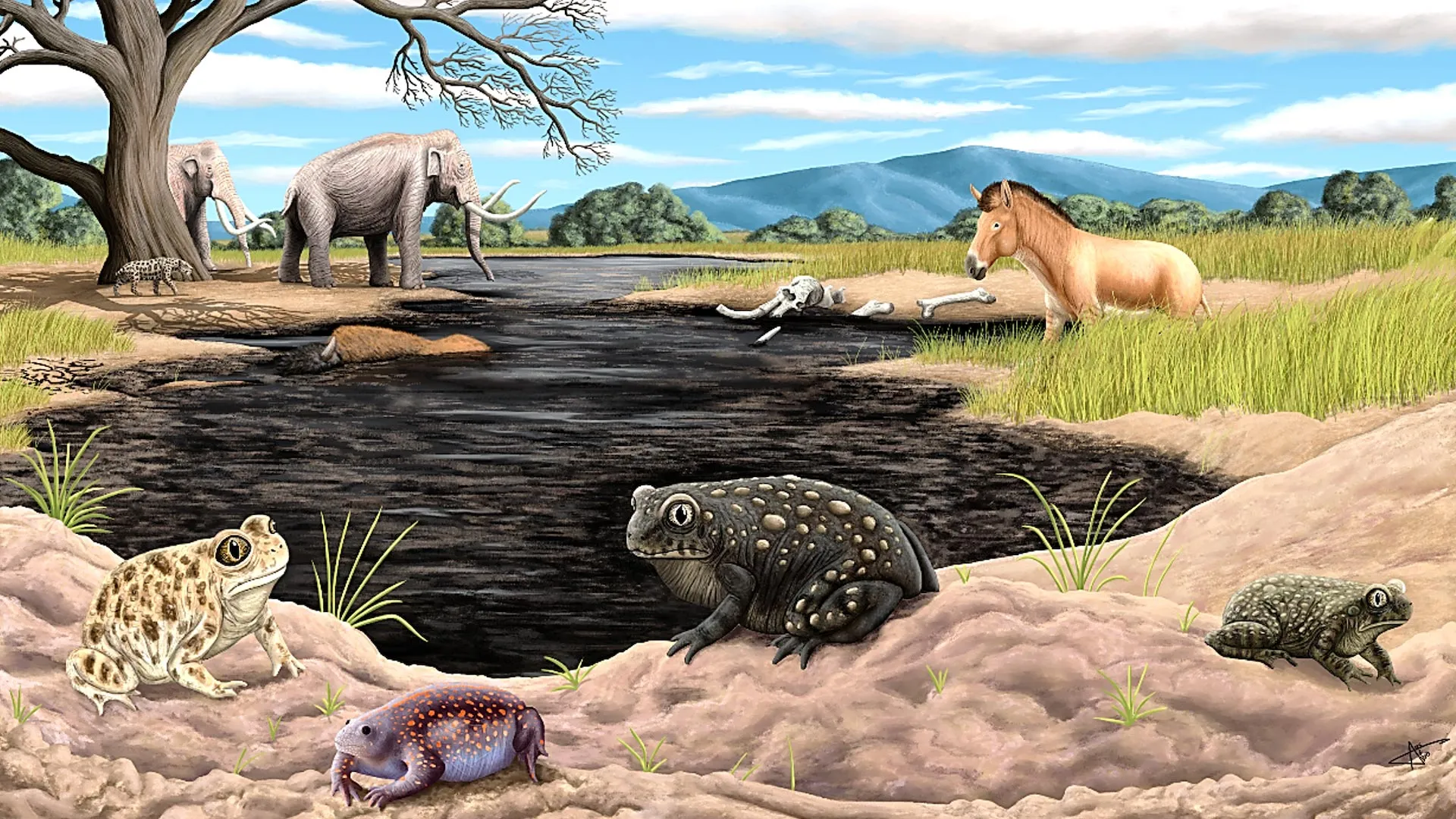 A new Ice Age species was hiding in La Brea tar pits fossils for decades